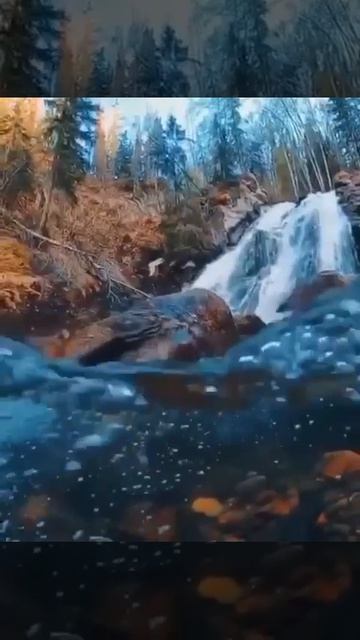 MOV_20260424_134645_224.mp4