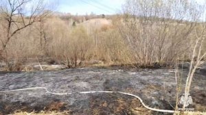 Пожар в Республике Алтай