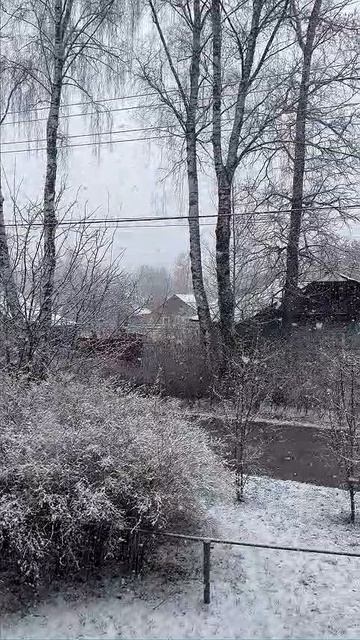 Снежная Кинешма