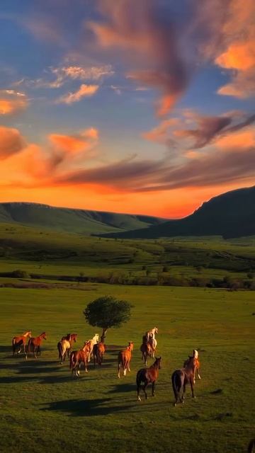 🕊️✨ Надо просто ловить момент и наслаждаться маленькими радостями жизни.🌸