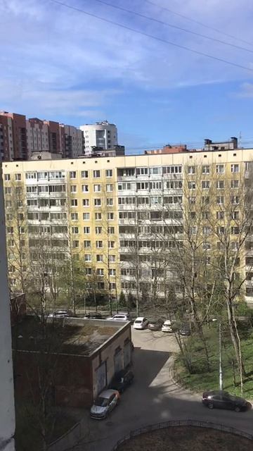 Санкт-Петербург. 24.04.2026. Погода утром. Солнечно и прохладно
