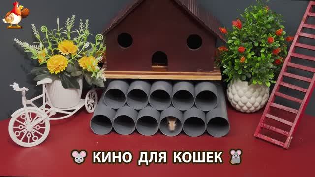 Видео для кошек про крысок развлекать питомцев 🐭🐀😂 (510)