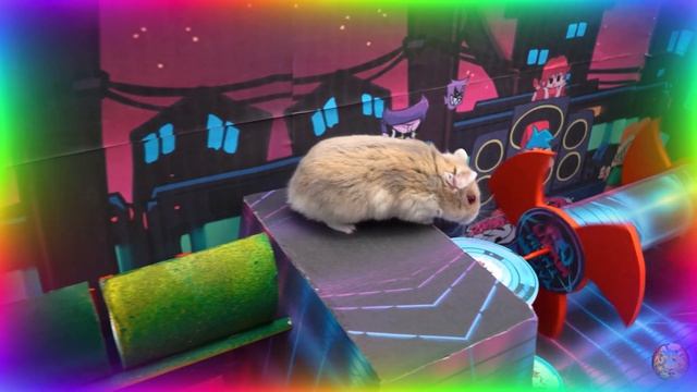 Приключение хомячка поиски сокровищ. Незабываемое приключение! часть 5