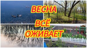 Вечерний променад / Прогулка перед сном / Весна