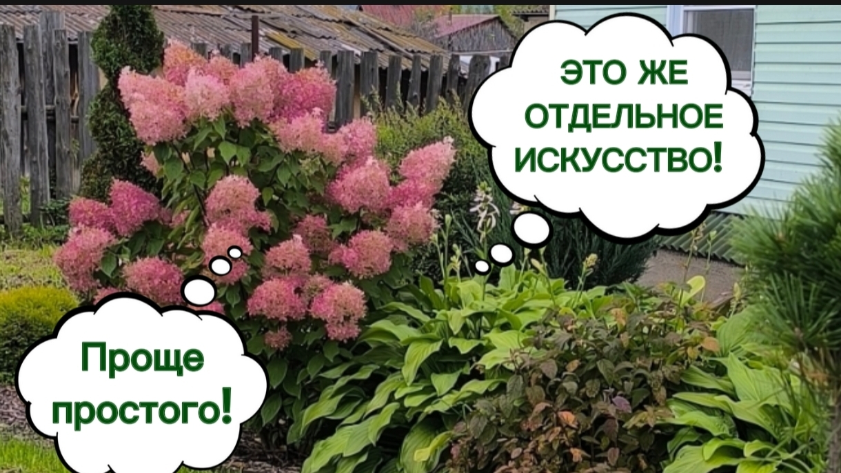 ВЕСЕННЯЯ ОБРЕЗКА ГОРТЕНЗИЙ. + ДВУХЭТАЖНАЯ ГОРТЕНЗИЯ! 24-04-2026