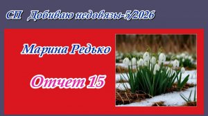 СП "Добиваю недовязы-5/2026" / Отчет 15