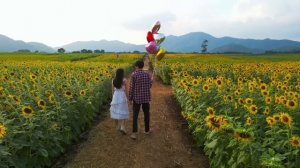 SONIC MUSIC - What Is Love