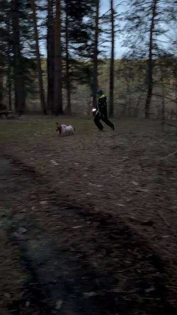 неудачное падение никто не мог ожидать