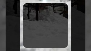 1000056987.mp4 (Собака наблюдает за устройством лестницы на 2-ой этаж в доме А-фрейм)