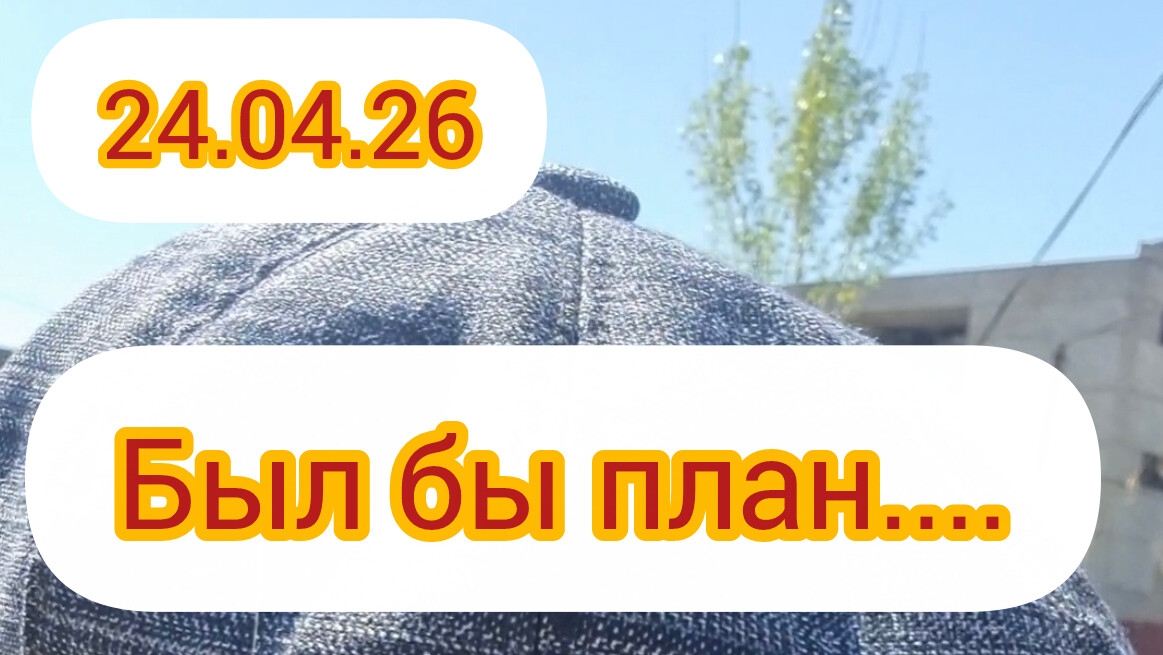 В продолжение к теме переезда. О перевозки животных.