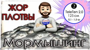 Весенний жор плотвы. TeleTen 2.0. Мормышинг
