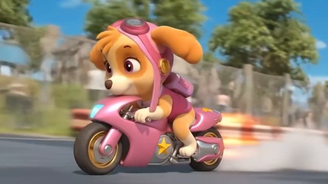 Щенячий патруль, Скай, Маршал, Эверест, Гончик, Крепыш и Роки катаются на мотоциклах . Для детей!