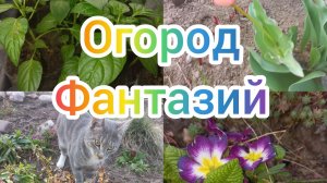 22 - 23 апреля! Всех накормлю!)))))😜😉😂