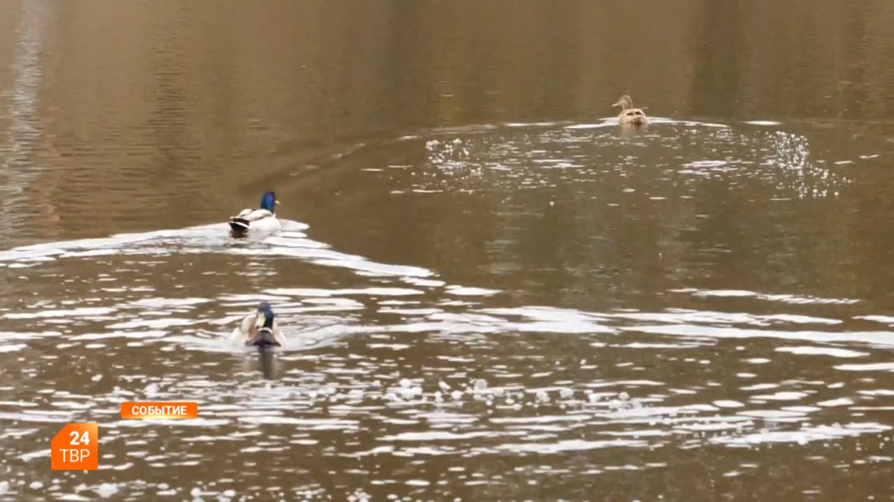 Прогноз погоды