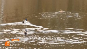 Прогноз погоды