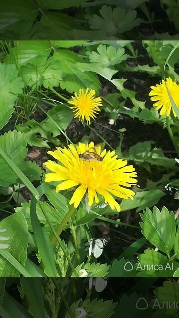 Как же уже хочется тепла.