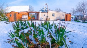 Вернулся с Донбасса. Что новенького. Снег в конце апреля. Псебай Мостовской р-он Краснодарского края