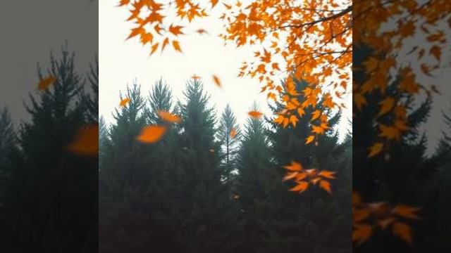 Федор Тютчев Листья 3