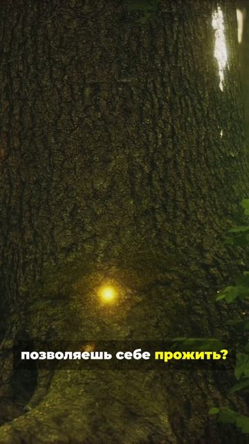 Устал от реальности. Добро пожаловать в сон.