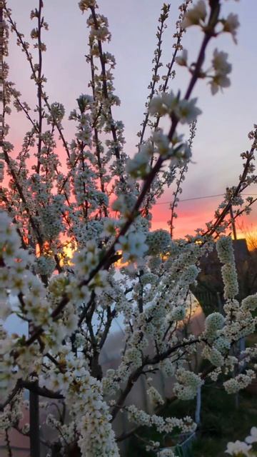 ЧТО СКАЖЕТЕ