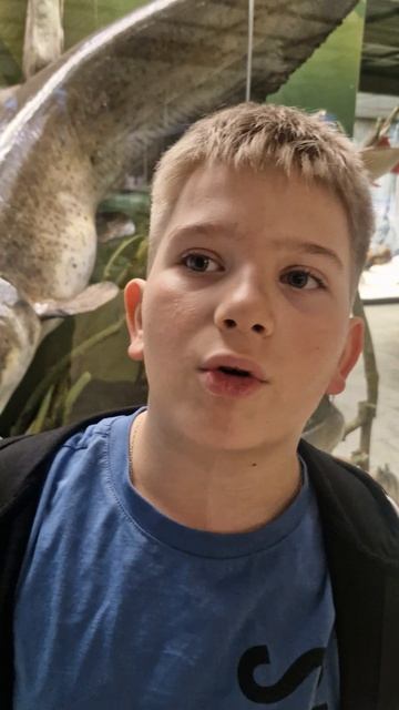 Дарвиновский музей, Москва.