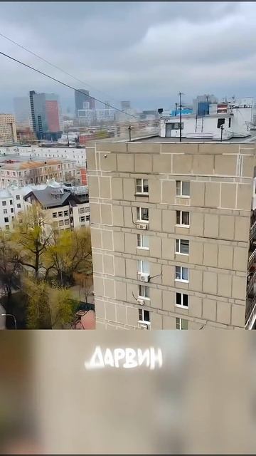 оба дома х  ня