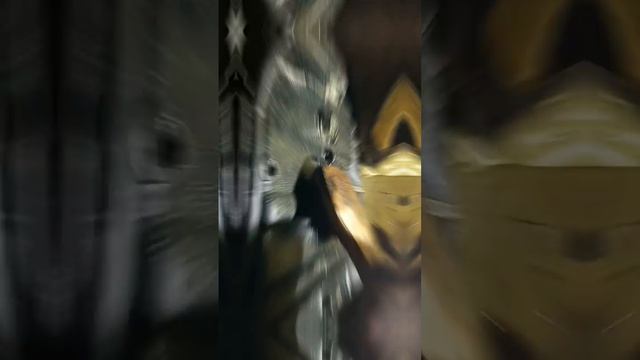 Кавасаки Вулкан в масле и что делать?