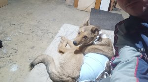 ПЯТНИЦА ЖЕ ОПЯТЬ