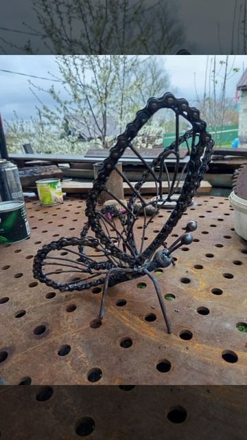 Бабочка/butterfly