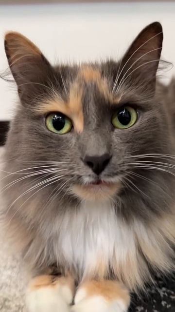 Налови, попробуем