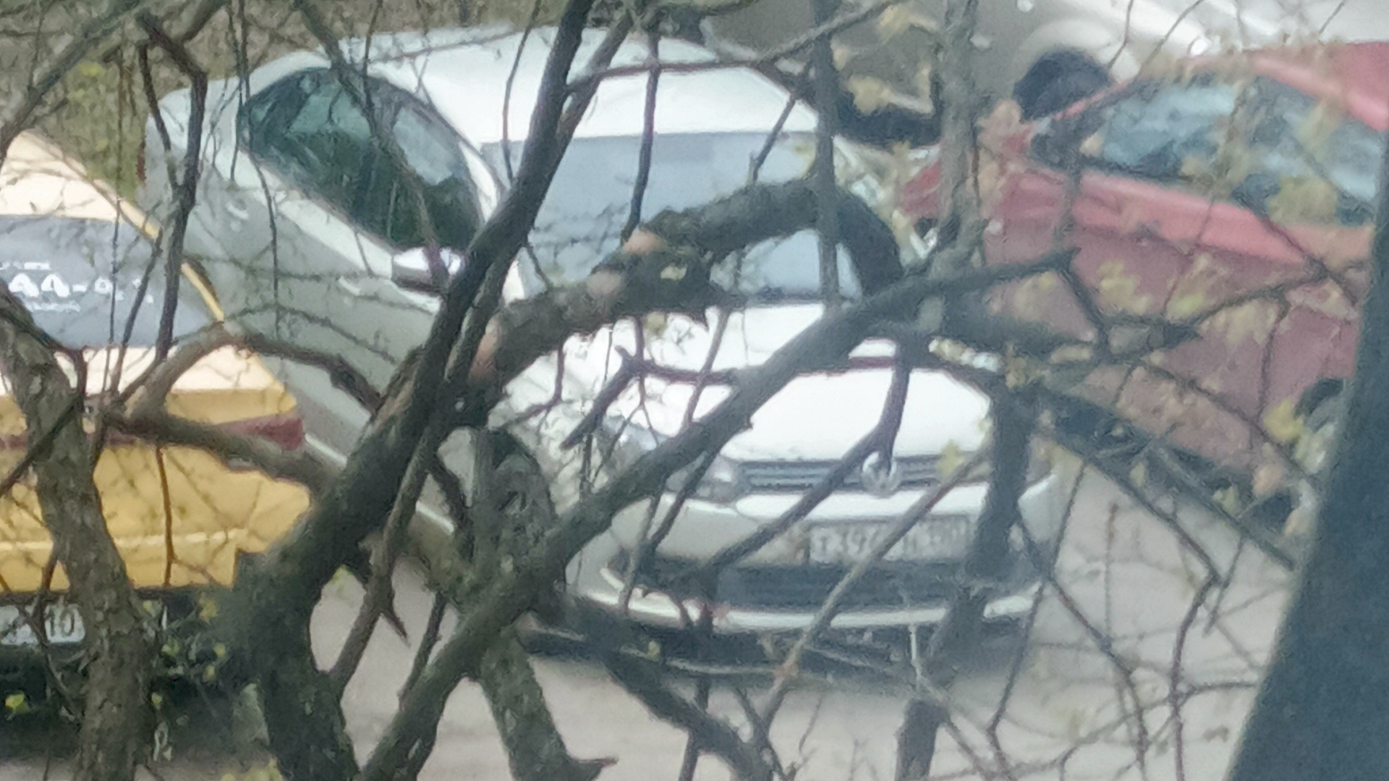 что это? аналоговый хоррор Что живёт у меня под окном? епизод 1