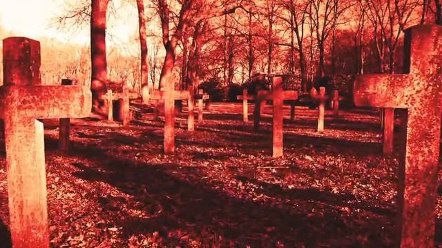 Darkleo - Krieg 2026