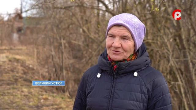 Бесплатная стерилизация