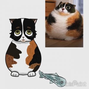 Кототость❤️❤️❤️