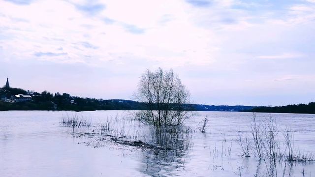 Утренняя прогулка  23 апреля