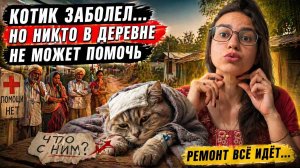 Зависли в ремонте, всё идёт не по плану… и вдруг котик заболел — никто не может помочь
