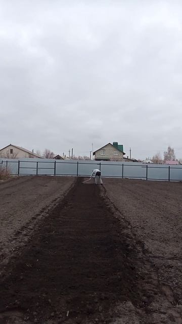 Формирование грядки под Гладиолусы.