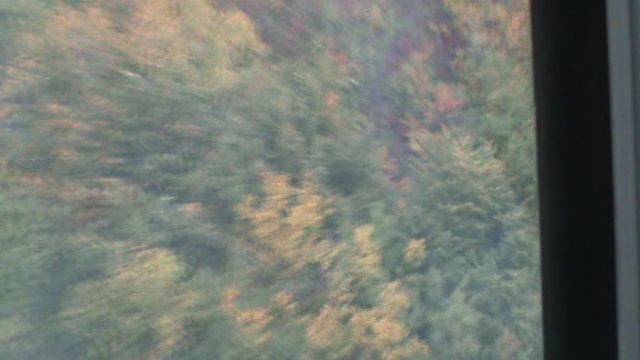 191)й КАНАТКА РОЗА ХУТОР МАМА И ВИОЛЕТТА