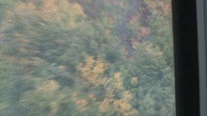 191)й КАНАТКА РОЗА ХУТОР МАМА И ВИОЛЕТТА