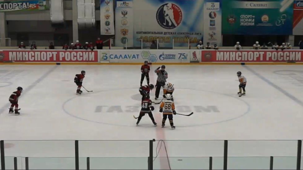 Волки - Форвард 24042026