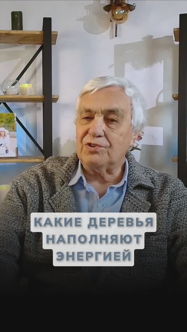 Техника наполнения энергией от деревьев за 3 минуты