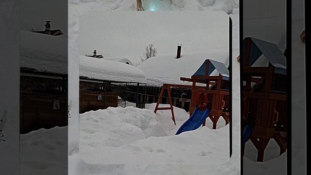 1000056962.mp4 Собака наблюдает за устройством лестницы на 2-ой этаж в доме А-фрейм