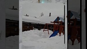 1000056962.mp4 (Собака наблюдает за устройством лестницы на 2-ой этаж в доме А-фрейм)