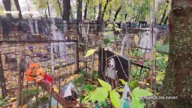Заречное кладбище Шуя Деревья падают на могилы