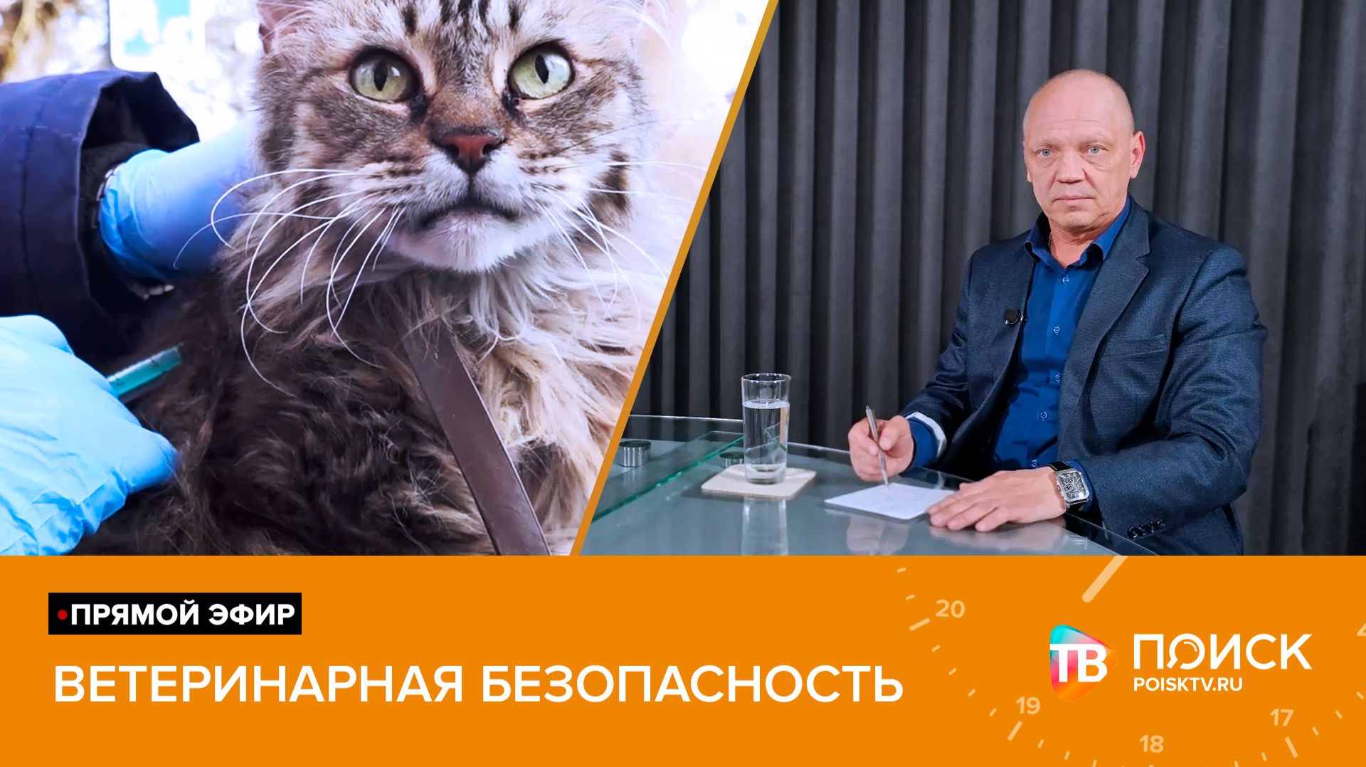 Клин. Прямой эфир 23.04.26