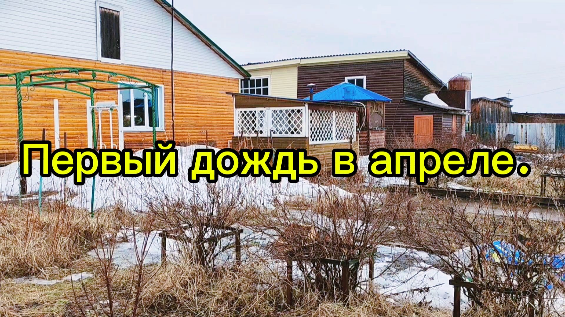 Первый дождь в апреле!) Пироги не пеку теперь.)