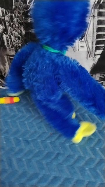 на Хаги напал мальнекий Хаги