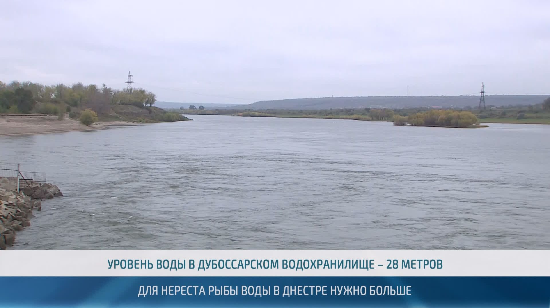 В Днестре не хватает воды для нереста рыбы – 23.04.2026