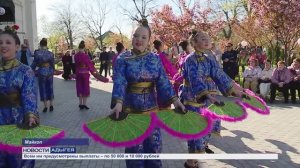 Информационный выпуск Майкопского телевидения 22.04.2026г.