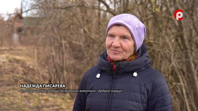 Общее дело 24.04.2026